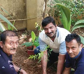 pramod-patil-tree-plantation